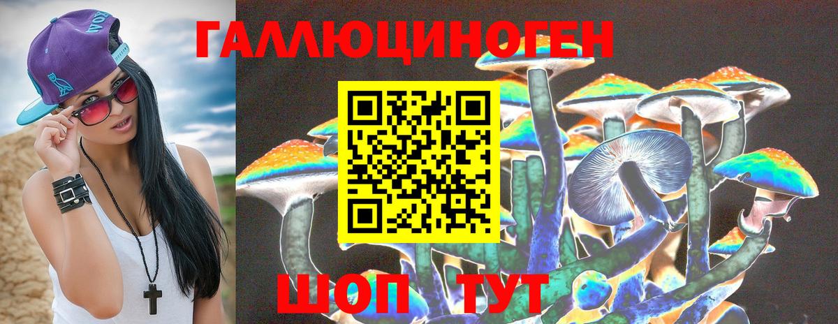 Галлюциногенные грибы Psilocybe  наркота  Грозный  Вход с VPN  Псилоцибиновые грибы ЛСД 